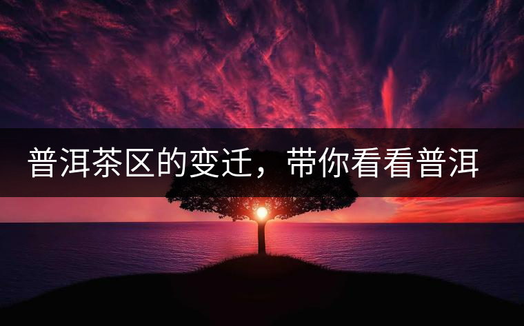 普洱茶區(qū)的變遷，帶你看看普洱茶地域分布