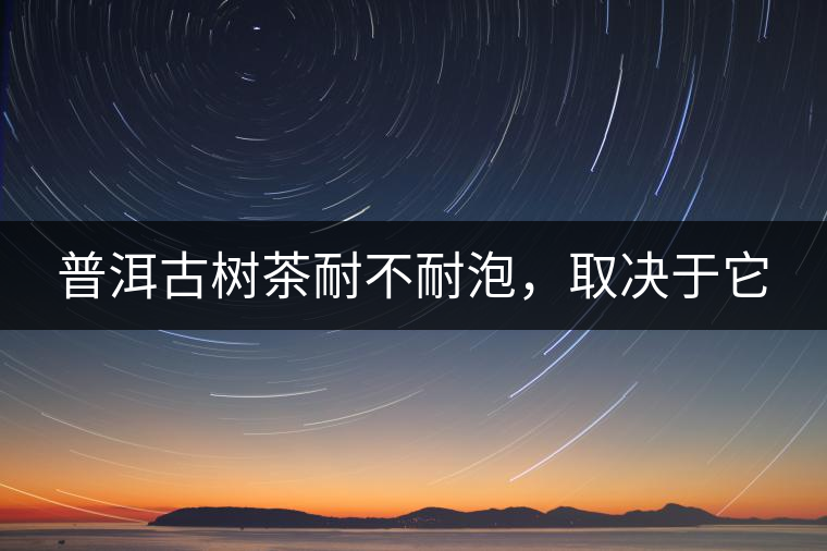 普洱古樹茶耐不耐泡，取決于它