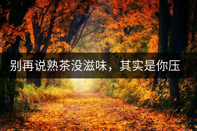 別再說(shuō)熟茶沒(méi)滋味，其實(shí)是你壓根沒(méi)喝懂