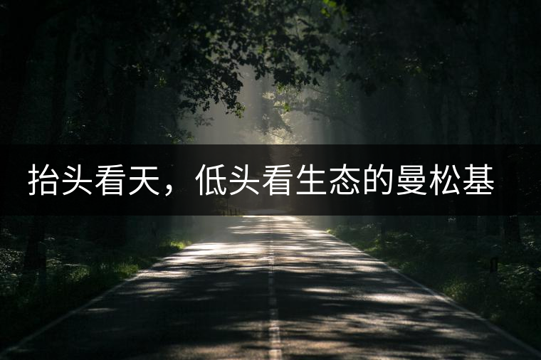 抬頭看天，低頭看生態(tài)的曼松基地