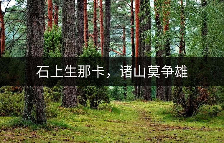 石上生那卡，諸山莫爭(zhēng)雄