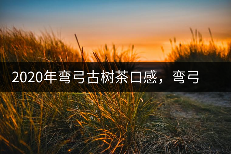 2020年彎弓古樹茶口感，彎弓普洱茶價格特點