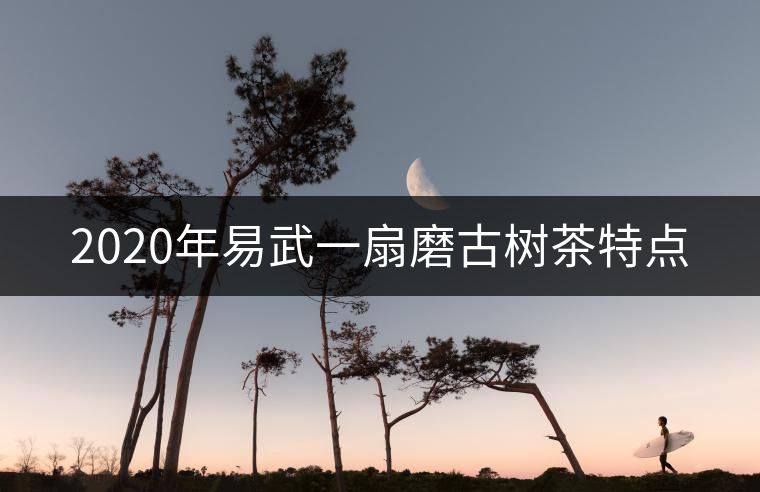 2020年易武一扇磨古樹(shù)茶特點(diǎn)