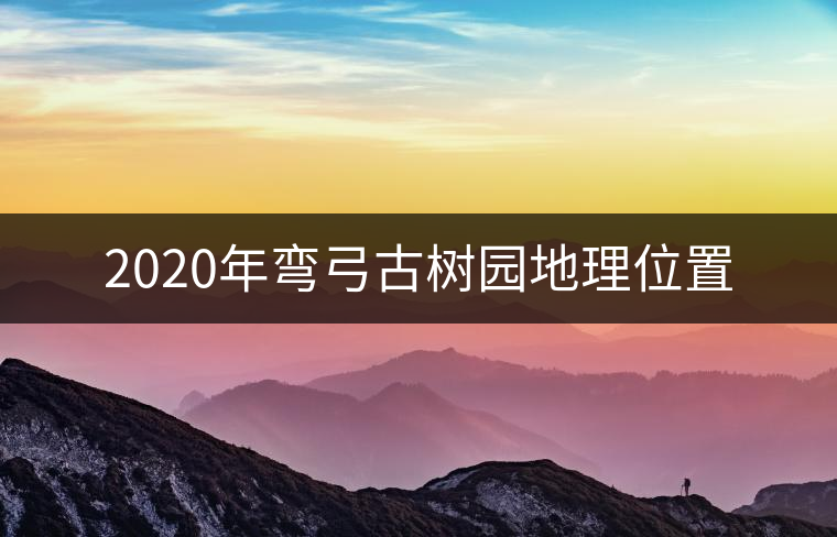 2020年彎弓古樹園地理位置