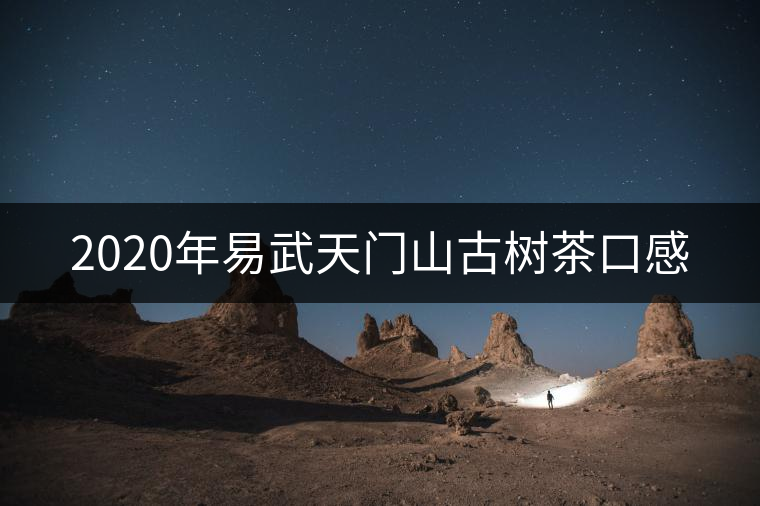 2020年易武天門山古樹(shù)茶口感