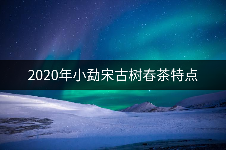 2020年小勐宋古樹春茶特點(diǎn) 2020年小勐宋古樹春茶特點(diǎn)
