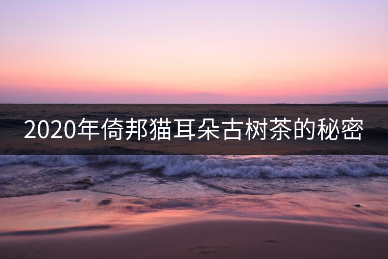 2020年倚邦貓耳朵古樹(shù)茶的秘密 2020年倚邦貓耳朵古樹(shù)茶的秘密