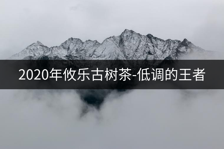 2020年攸樂古樹茶-低調(diào)的王者 2020年攸樂古樹茶-低調(diào)的王者
