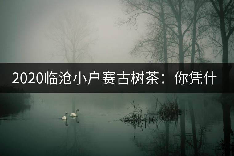 2020臨滄小戶賽古樹茶：你憑什么當(dāng)冰島賣？