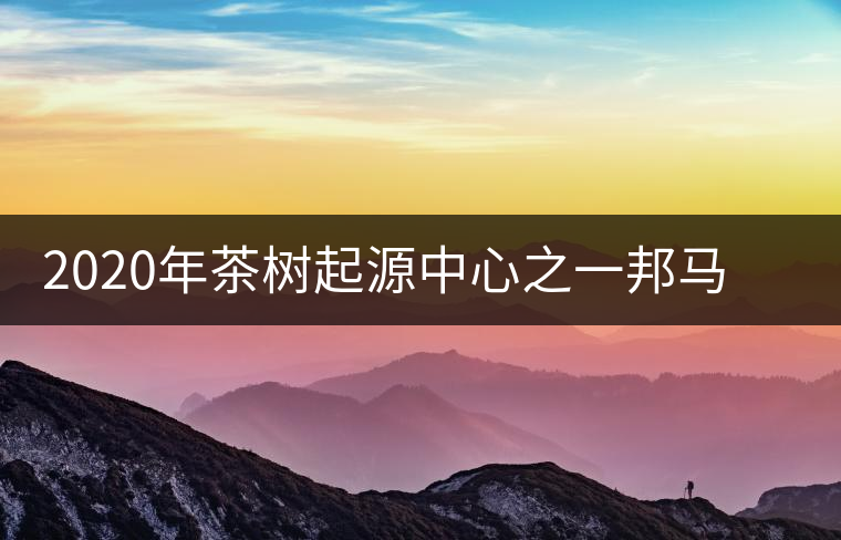 2020年茶樹起源中心之一邦馬大雪山上有哪些神秘的村寨？
