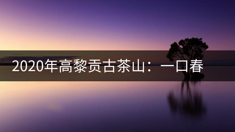 2020年高黎貢古茶山：一口春茶香，一口騰沖味