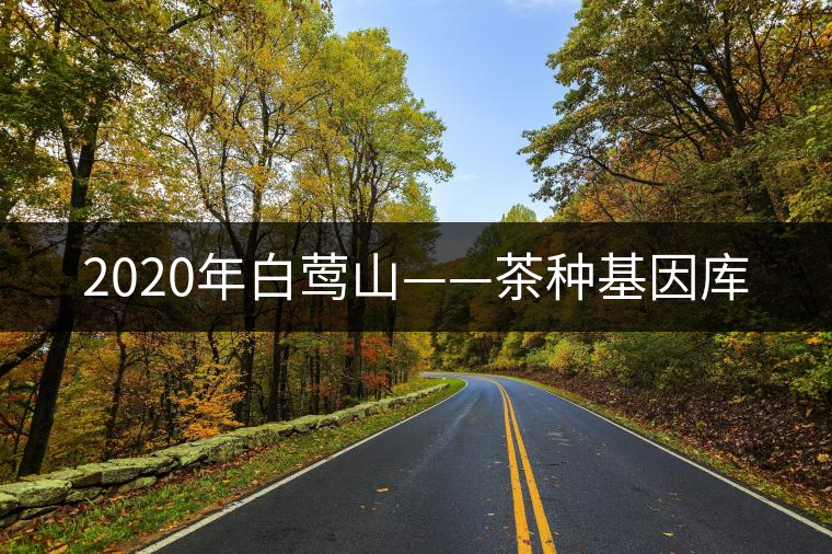 2020年白鶯山——茶種基因庫(kù) 2020年白鶯山——茶種基因庫(kù)