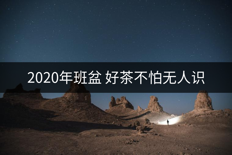 2020年班盆 好茶不怕無(wú)人識(shí)