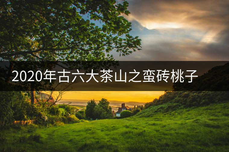 2020年古六大茶山之蠻磚桃子寨古樹茶，瓦龍古樹茶口感與特點(diǎn)