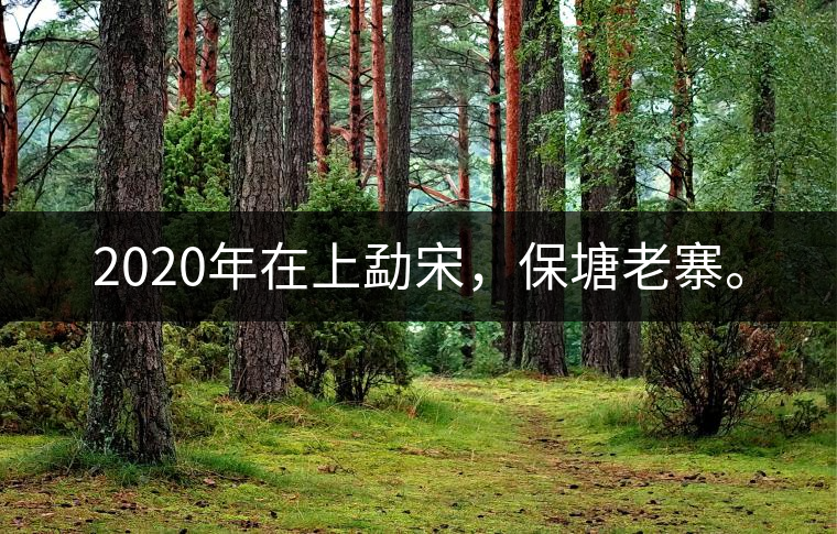2020年在上勐宋，保塘老寨。