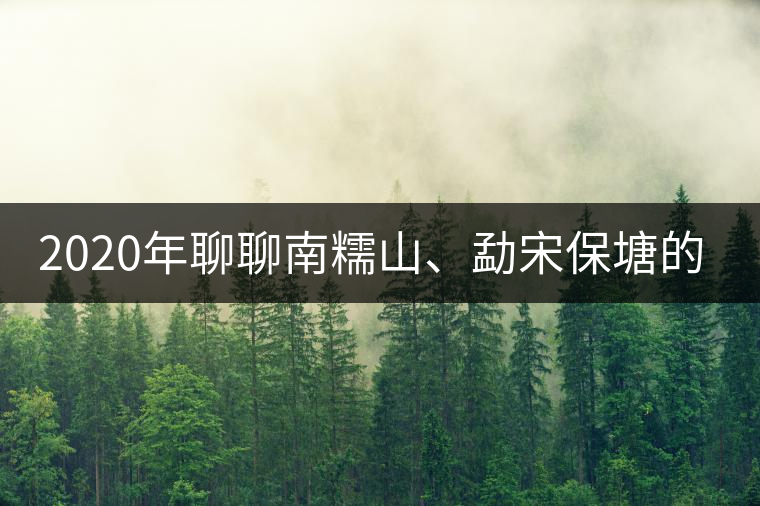 2020年聊聊南糯山、勐宋保塘的茶王樹(shù)
