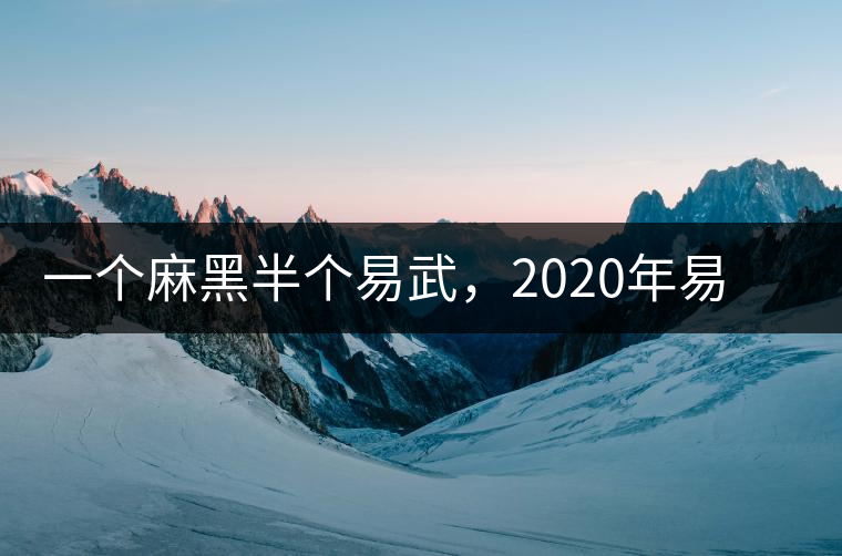 一個麻黑半個易武，2020年易武麻黑古樹春茶介紹