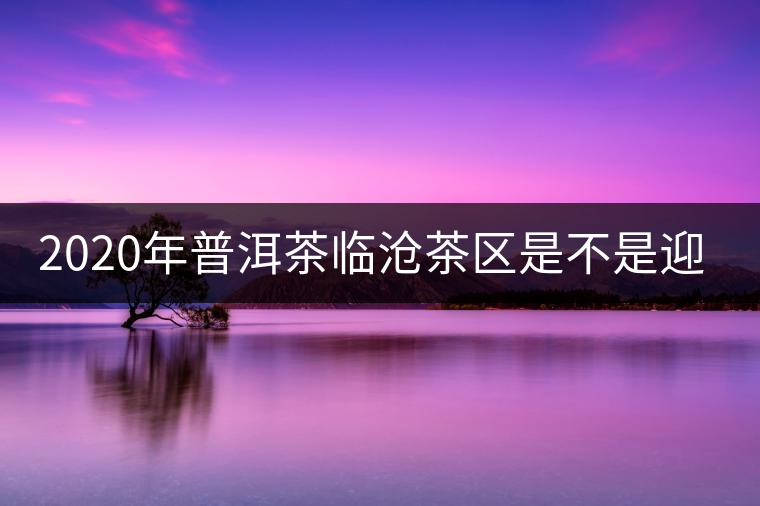 2020年普洱茶臨滄茶區(qū)是不是迎來(lái)最好機(jī)遇？