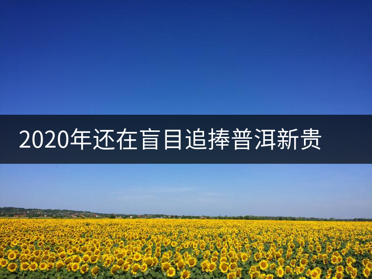 2020年還在盲目追捧普洱新貴“貓耳朵”？我們深入產(chǎn)區(qū)為你揭示最真實(shí)的“貓耳朵”！