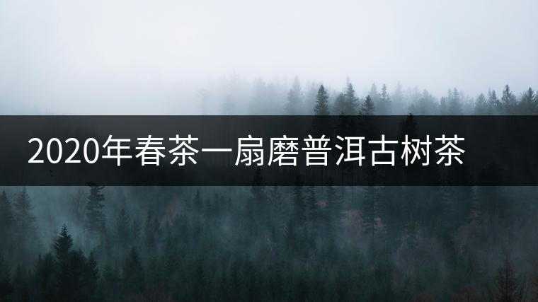 2020年春茶一扇磨普洱古樹(shù)茶價(jià)格是多少錢一斤 2020年春茶一扇磨普洱古樹(shù)茶價(jià)格是多少錢一斤