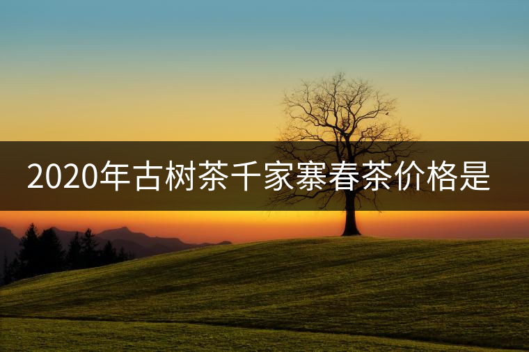 2020年古樹(shù)茶千家寨春茶價(jià)格是多少？