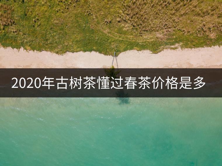 2020年古樹(shù)茶懂過(guò)春茶價(jià)格是多少？