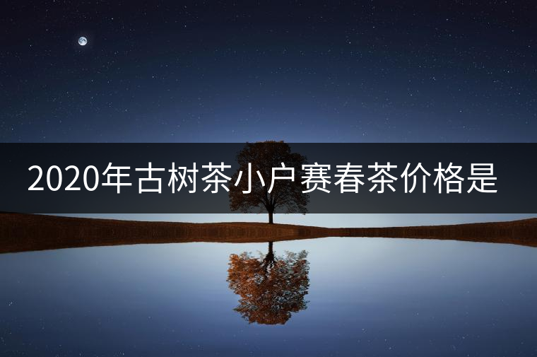 2020年古樹茶小戶賽春茶價格是多少？
