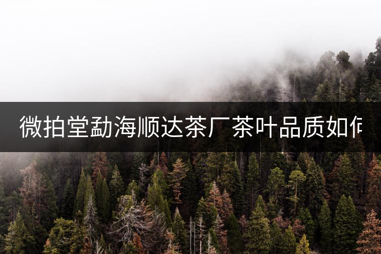 微拍堂勐海順達茶廠茶葉品質(zhì)如何？