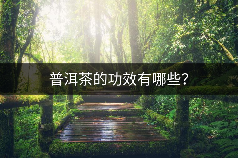 普洱茶的功效有哪些？