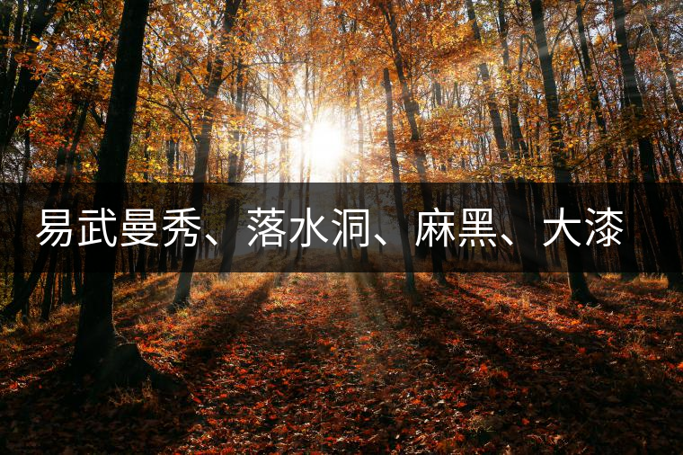 易武曼秀、落水洞、麻黑、大漆樹(shù)等你更喜歡哪個(gè)茶？