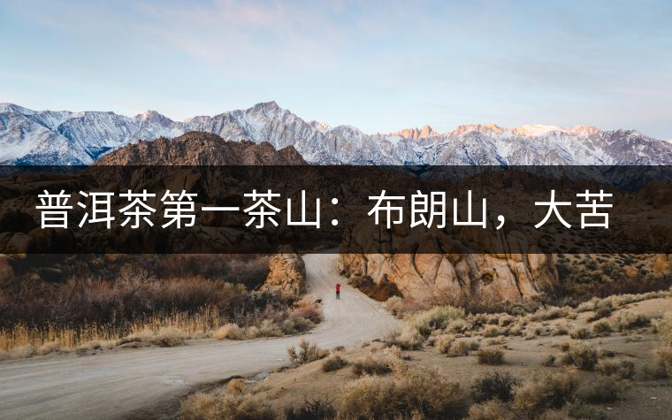 普洱茶第一茶山：布朗山，大苦大甘是它的魂