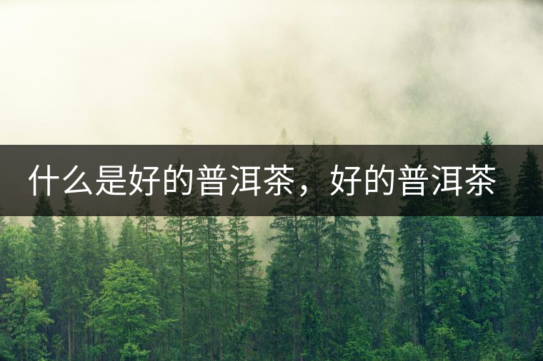 什么是好的普洱茶，好的普洱茶必須要有好的工藝！