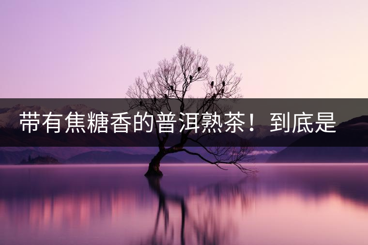 帶有焦糖香的普洱熟茶！到底是好是壞？