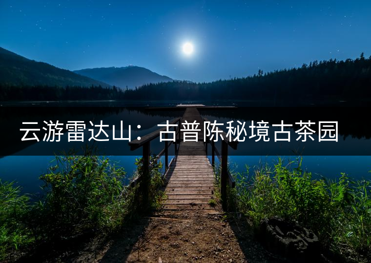 云游雷達山：古普陳秘境古茶園，品第一杯春鮮