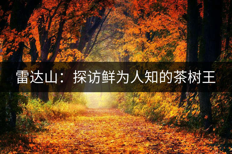 雷達(dá)山：探訪鮮為人知的茶樹王