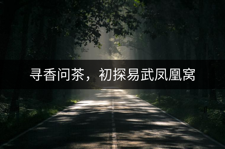 尋香問(wèn)茶，初探易武鳳凰窩