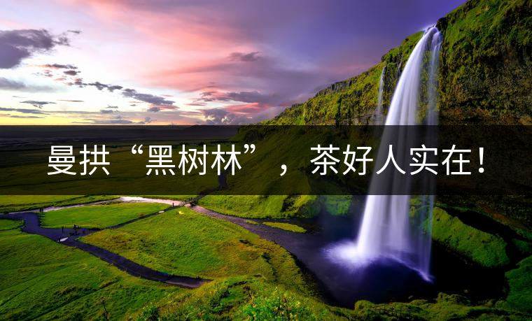 曼拱“黑樹林”，茶好人實(shí)在！