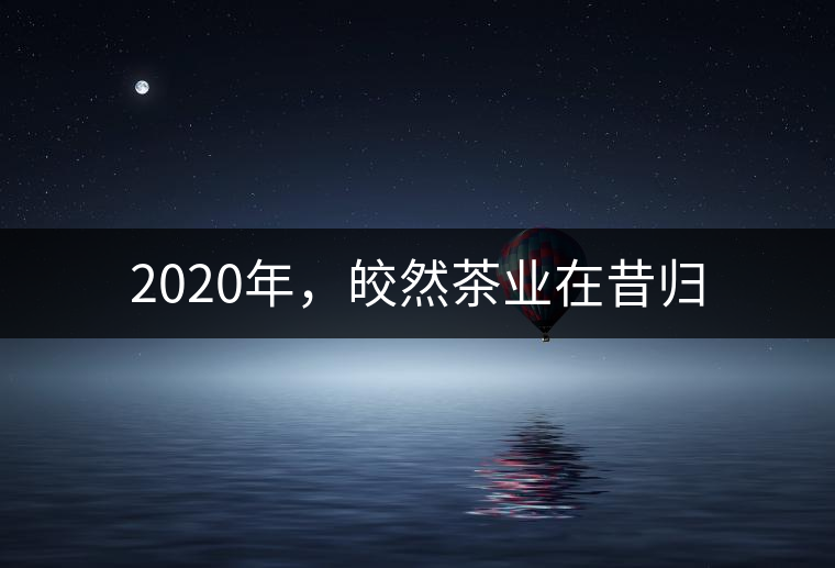2020年，皎然茶業(yè)在昔歸