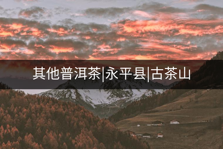 其他普洱茶|永平縣|古茶山 其他普洱茶|永平縣|古茶山