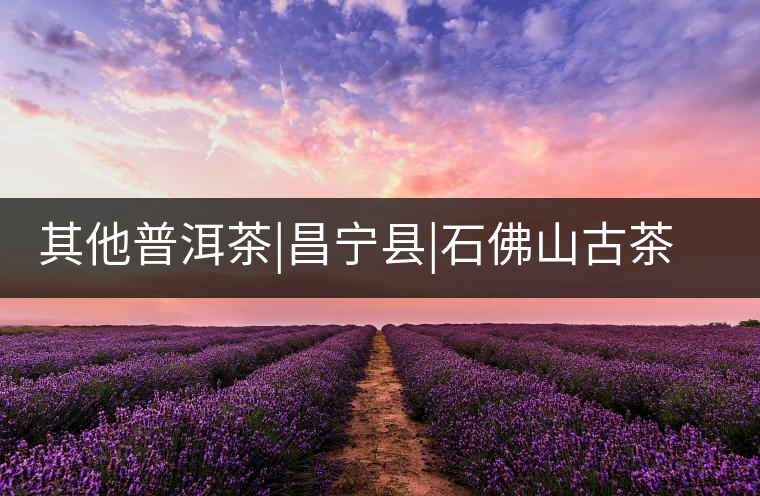 其他普洱茶|昌寧縣|石佛山古茶樹(shù)群 其他普洱茶|昌寧縣|石佛山古茶樹(shù)群