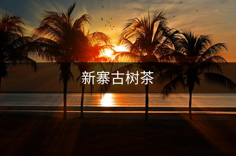 新寨古樹茶