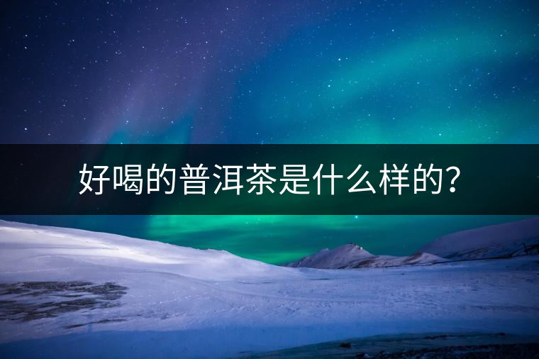 好喝的普洱茶是什么樣的？