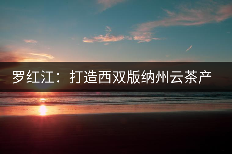 羅紅江：打造西雙版納州云茶產(chǎn)業(yè)新格局