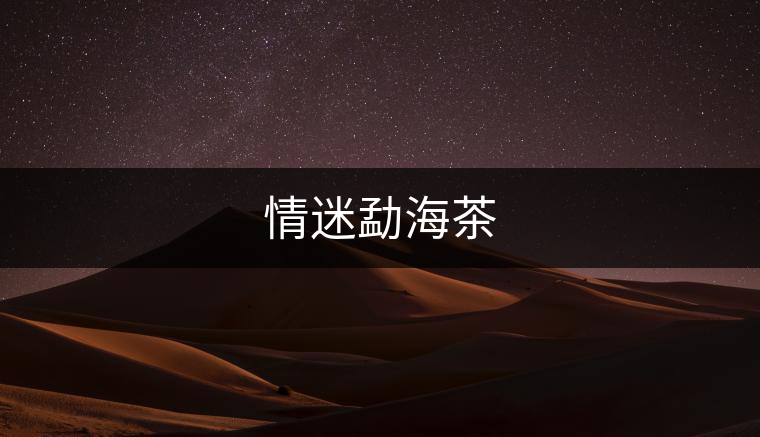 情迷勐海茶