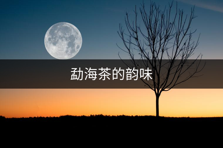 勐海茶的韻味