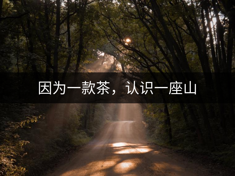 因?yàn)橐豢畈?，認(rèn)識(shí)一座山