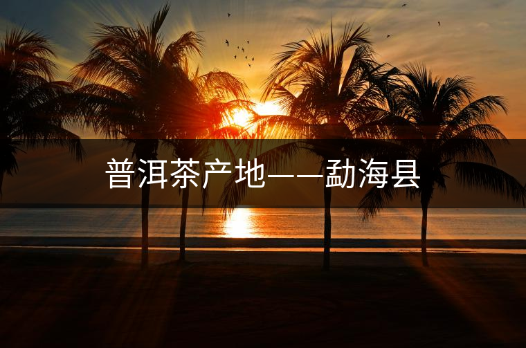 普洱茶產(chǎn)地——勐?？h