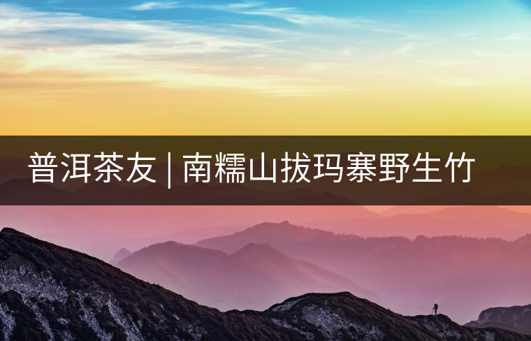 普洱茶友 | 南糯山拔瑪寨野生竹蓀給看過？