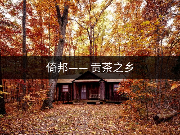 倚邦—— 貢茶之鄉(xiāng) 倚邦—— 貢茶之鄉(xiāng)