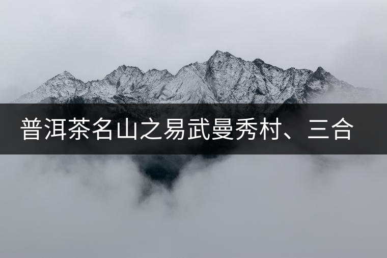 普洱茶名山之易武曼秀村、三合社村